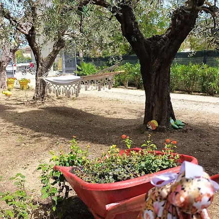 Casa de hóspedes Edera And